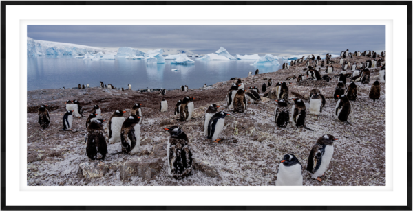 Gathering - Image 1