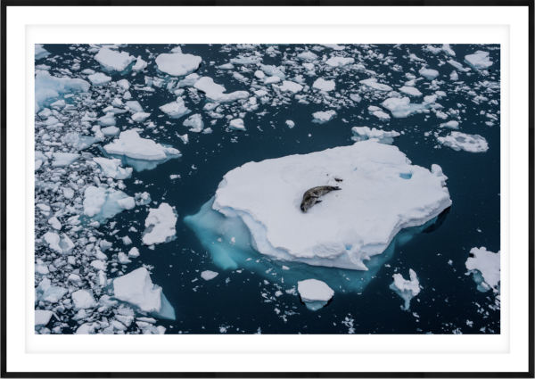 Glacial Rest - Image 1