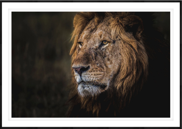 The King - Image 1