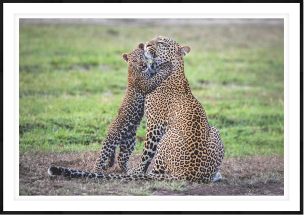 Family - Image 1