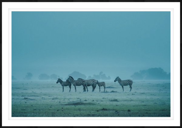 Gathering - Image 1