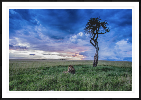 Calm Before The Storm - Image 1