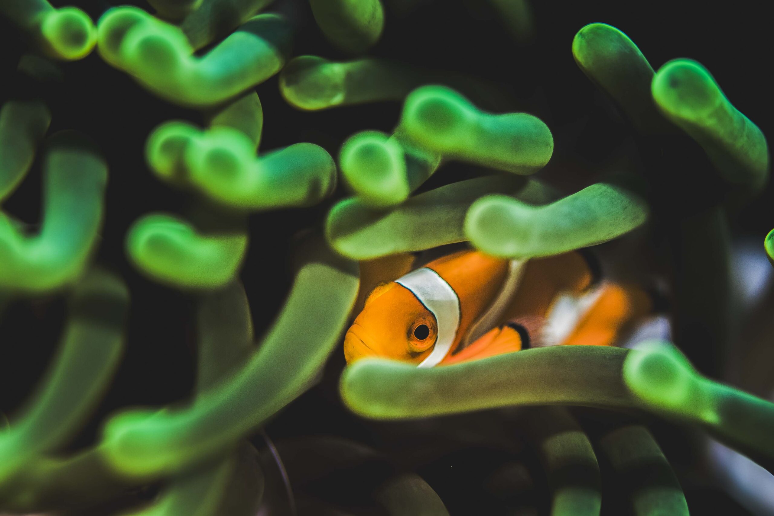 Underwater