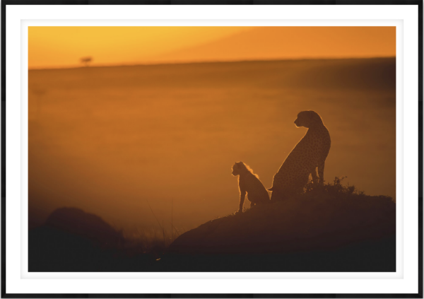 Sunrise - Image 1