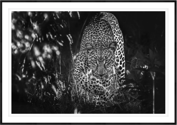 Stealth - Image 1