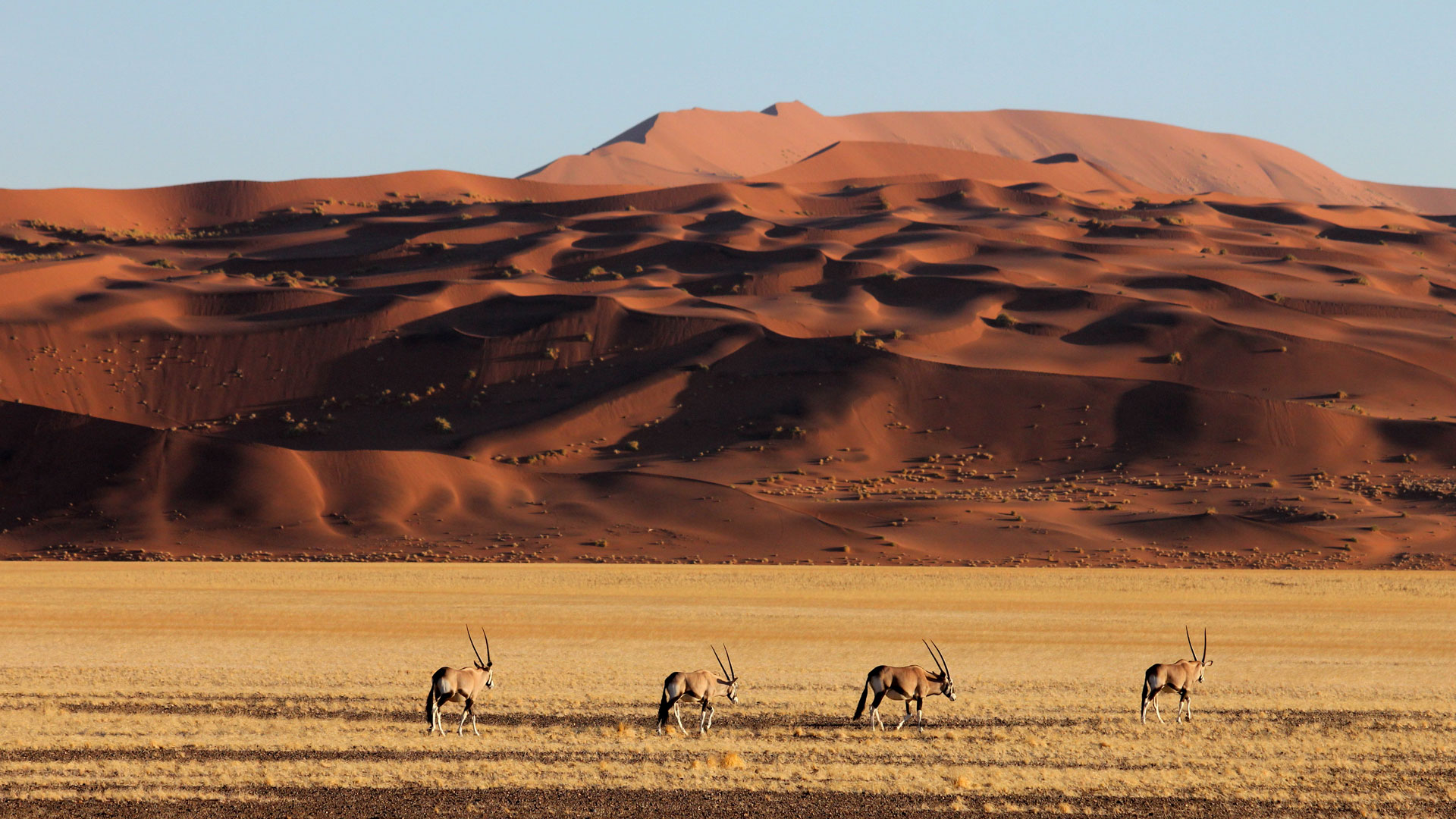 Namibia – Deserts, Wildlife & Dreamscapes