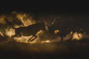 Light & Dust - Image 2