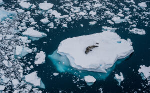 Glacial Rest - Image 2