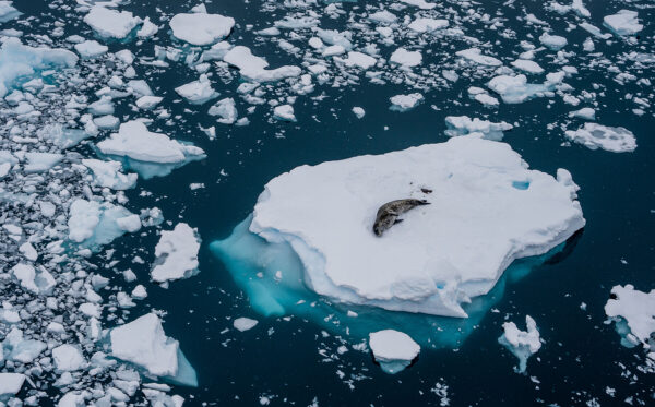 Glacial Rest - Image 2